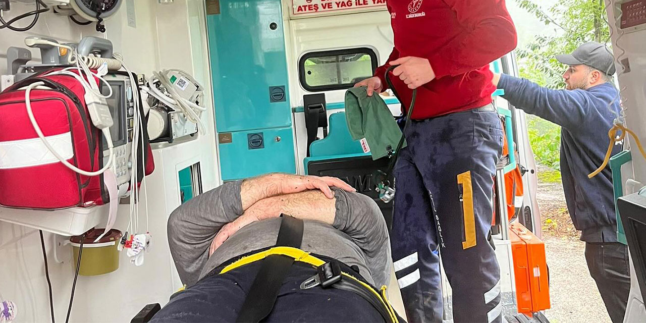 Rize'de Çay Hasadında Dengesini Kaybeden Kişi Hastanelik Oldu