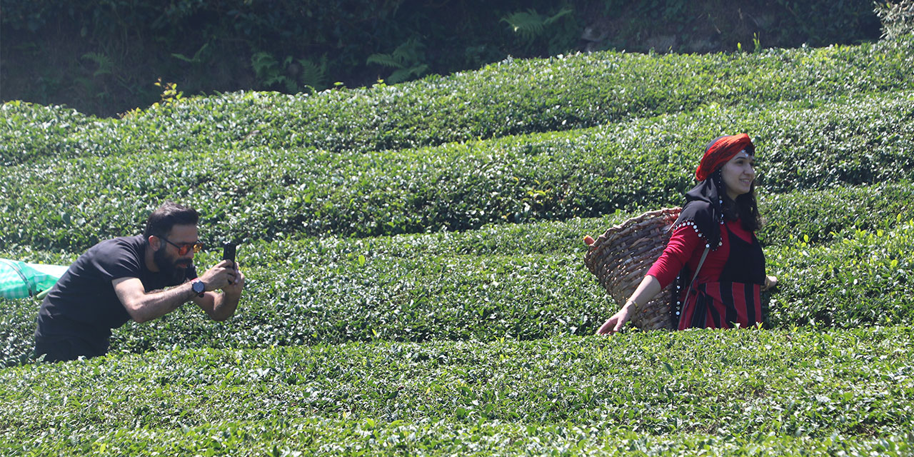 Rize’deki çay bahçesi baklava görünümlü hali ile turistlerin ilgisini çekiyor