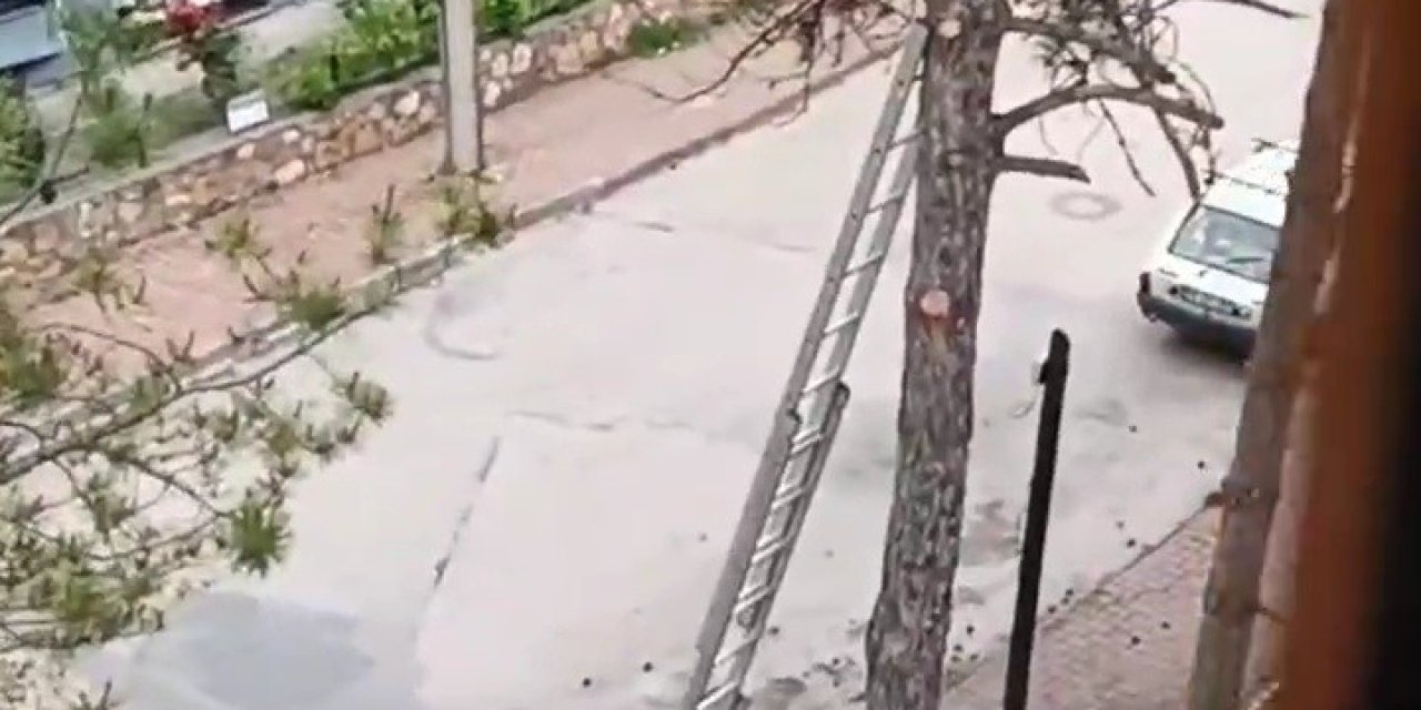 Metrelerce Yükseklikte Tehlikeli Budama Çalışması Kamerada