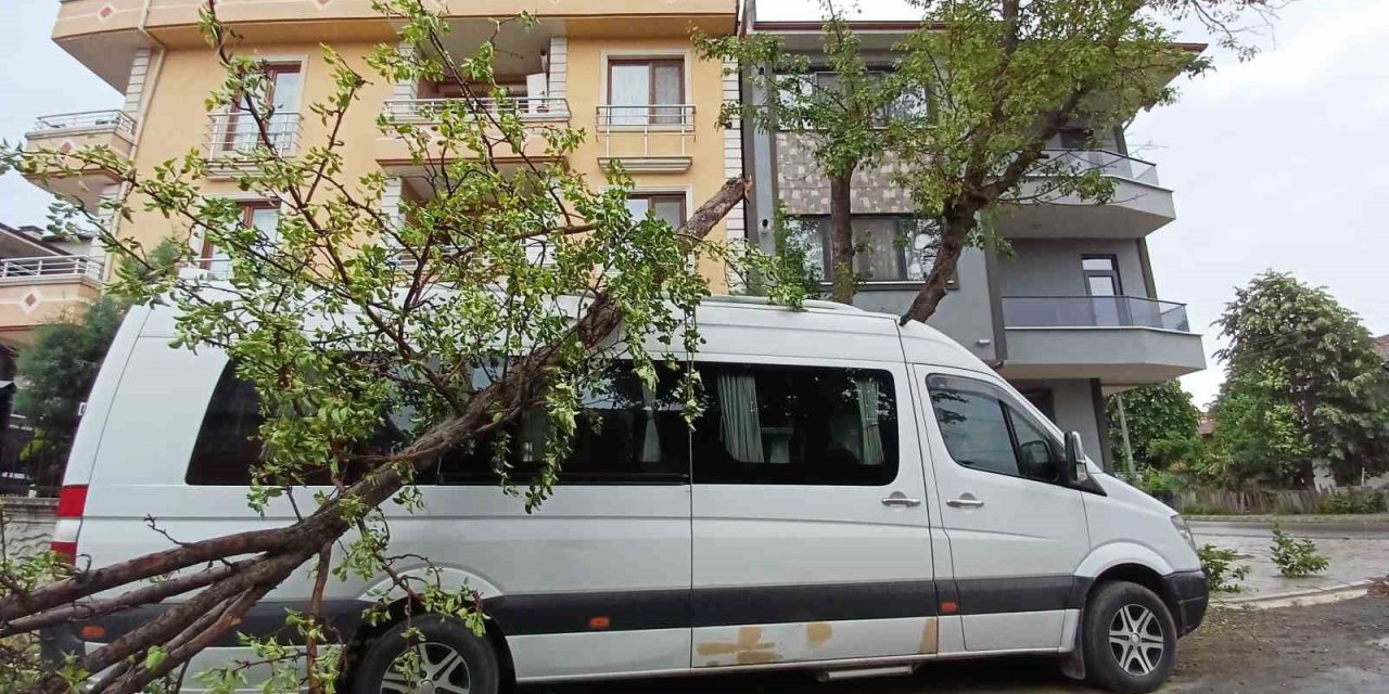 Fırtına Ağaçları Devirdi, 2 Araç Ağaçların Altında Kaldı