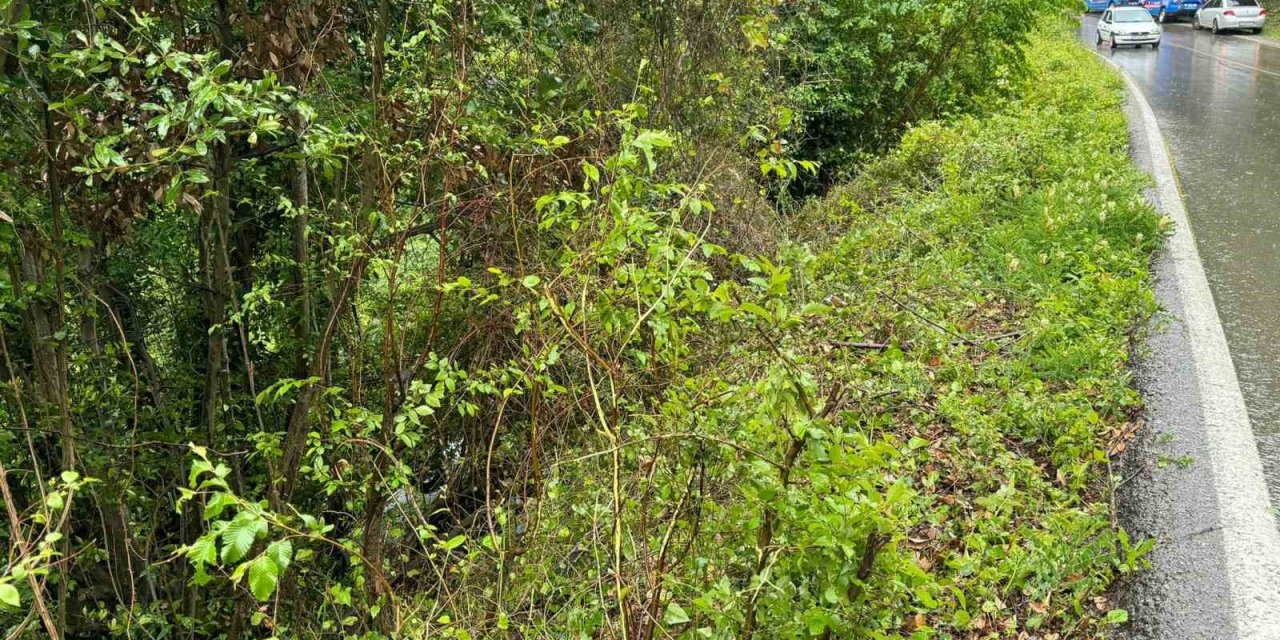 Virajı Alamayan Otomobil Ormanlık Alana Uçtu: 3 Yaralı