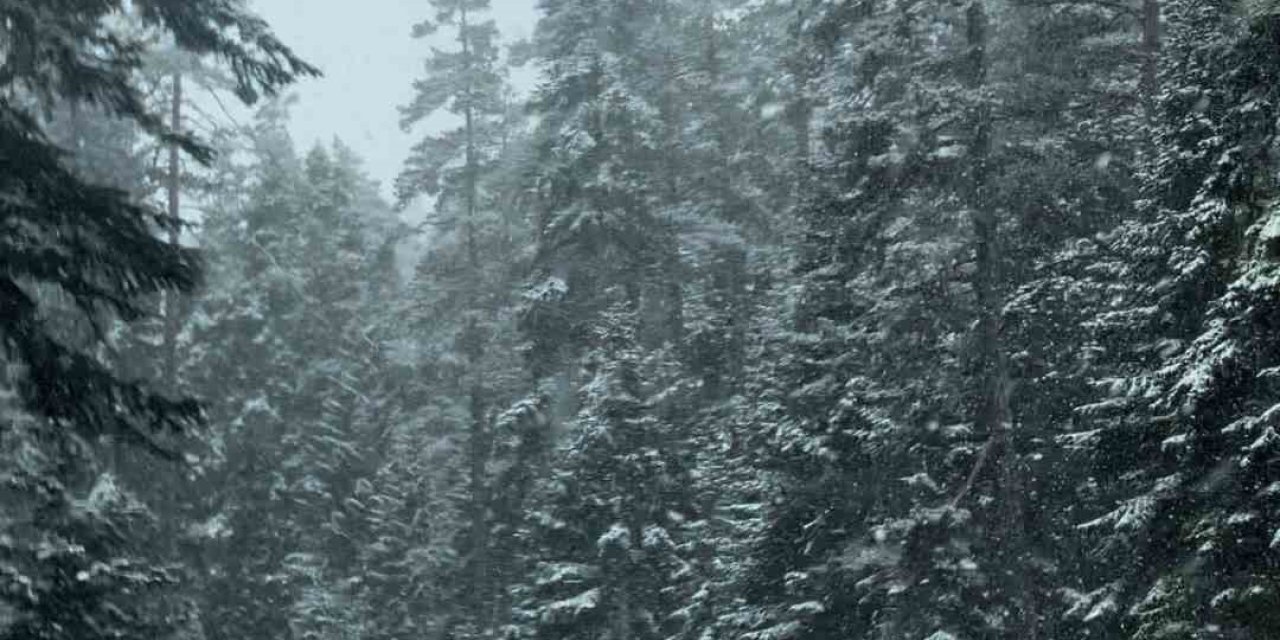 Bolu’da Mayıs Ayının Ortasında Kar Yağdı