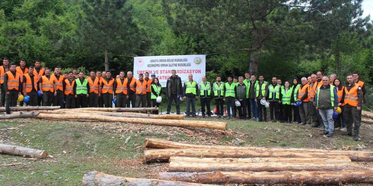 Ormanda Üretim-standardizasyon Eğitimi