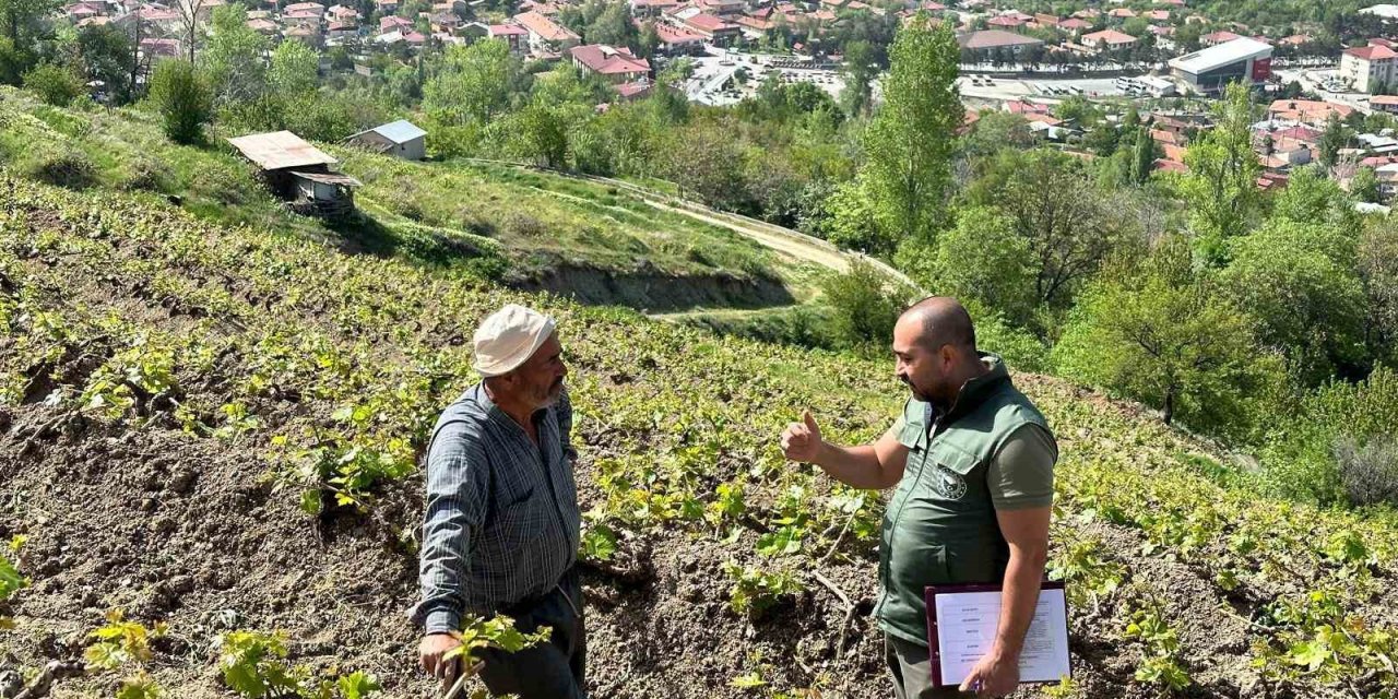 Sahayı Adım Adım Dolaşıyorlar