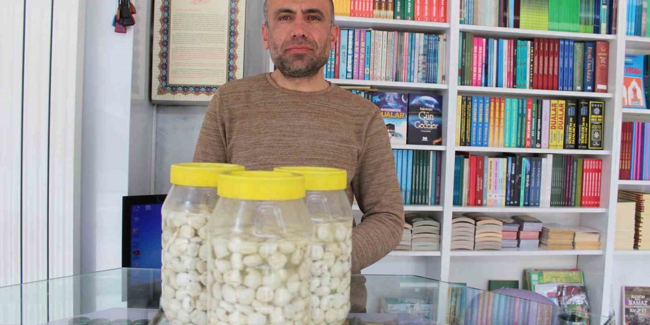 Altından Değerli Sakız, Fiyatı Dudak Uçuklatıyor