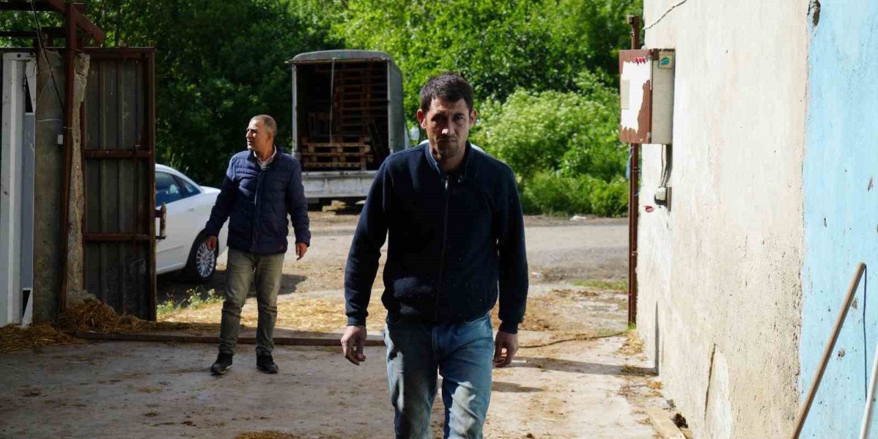 Arnavutköy’de Kaybolan 13 Koyunu Polis Ekipleri Bularak Sahibine Teslim Etti