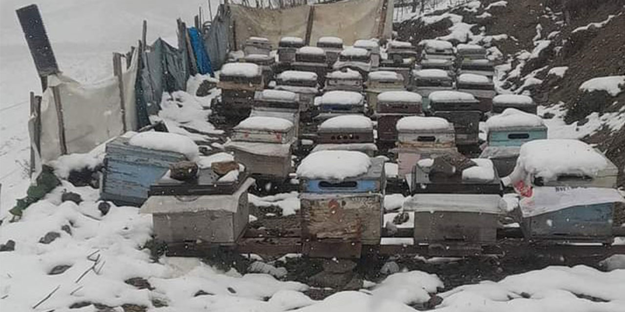 Balı ile Ünlü Anzer Yaylası’na Çıkan Vatandaşların Kar Şaşkınlığı