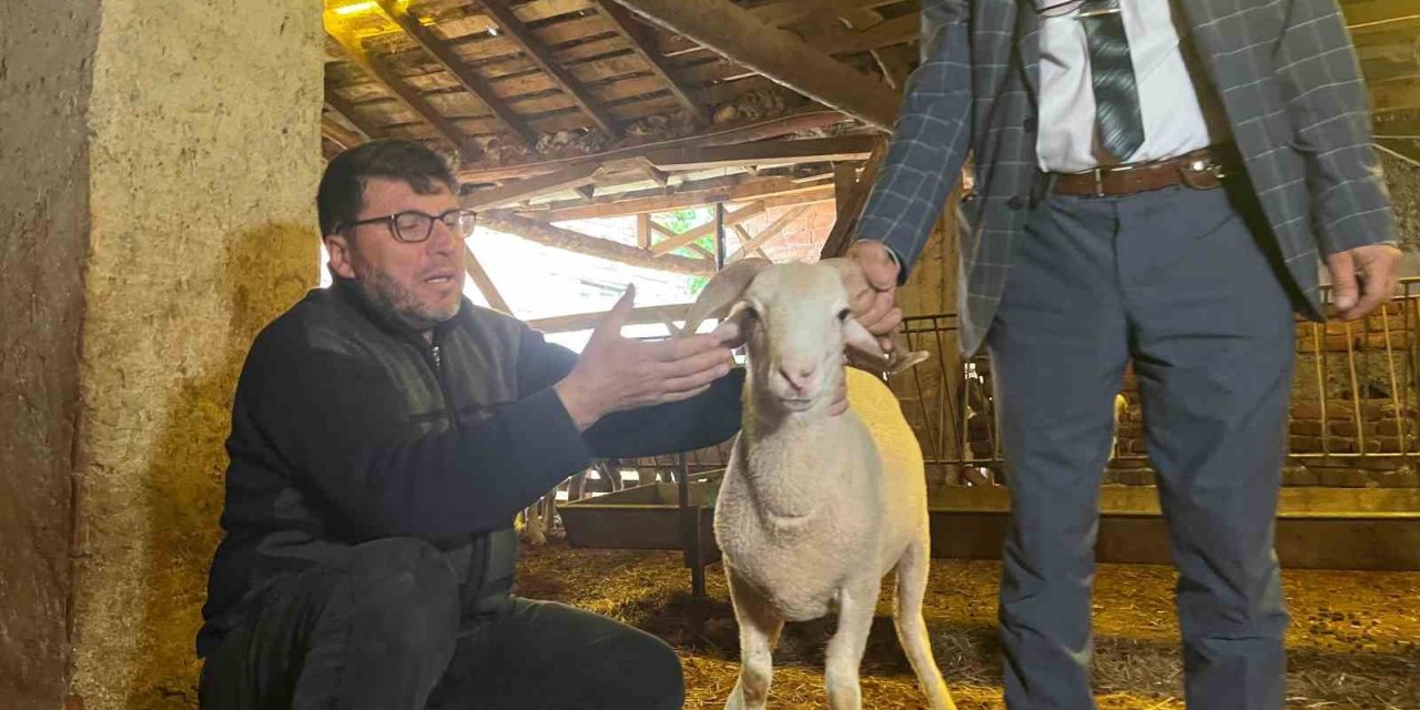 Eskişehir’de Kurbanlık Küçükbaş Fiyatı 10 Bin İle 25 Bin Lira Arasında Değişiyor