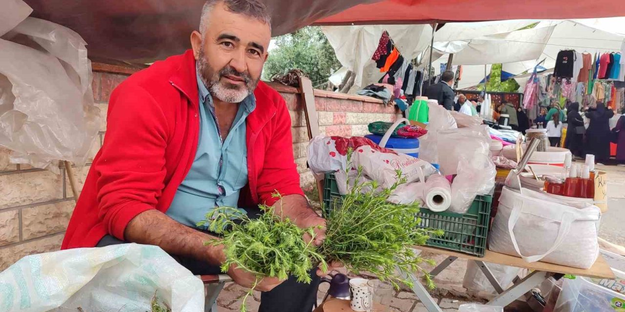 Dağlardan Topladığı Kekikler Geçim Kaynağı Oldu