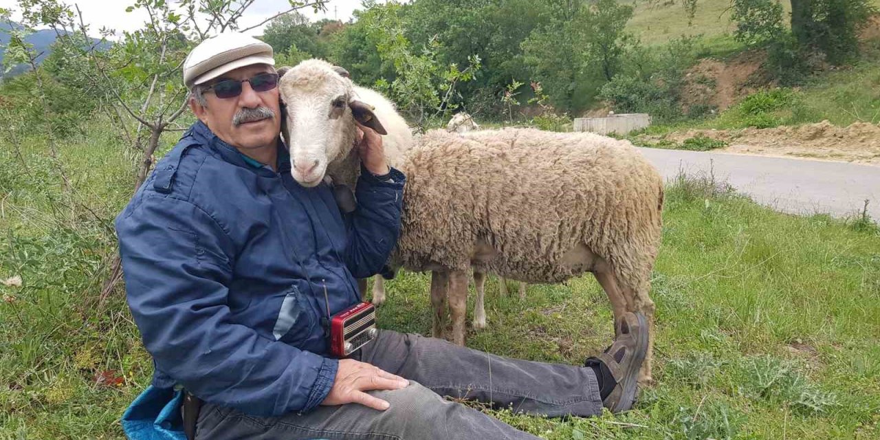 Hastalık Sonrası Aldığı Küçükbaş Hayvanlarla Yeniden Hayata Bağlandı