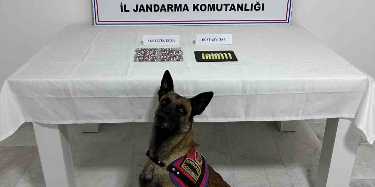 Aile Boyu Uyuşturucu Taciri Çıktılar