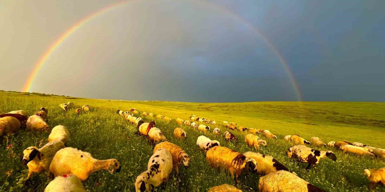 Siverek’te Yağmur Sonrası Ortaya Çıkan Gökkuşağı Görsel Şölen Oluşturdu