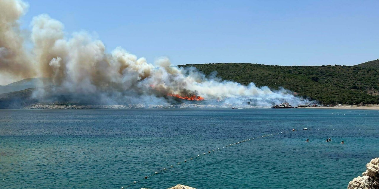 Urla'daki Maki Yangını Enerji Nakil Hattından Çıkmış