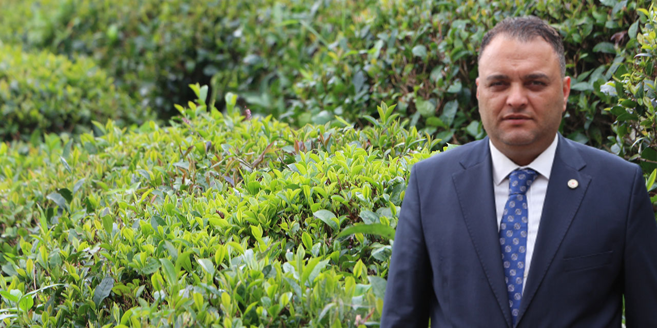 Çay arazilerinde görülen sargı otu çay üreticisini tedirgin ediyor