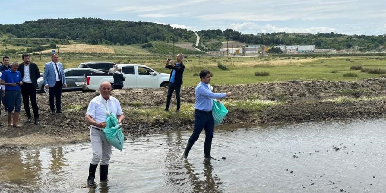 Dünya Çiftçiler Günü’nde Protokol Üyeleri Çeltik Tohumu Attılar