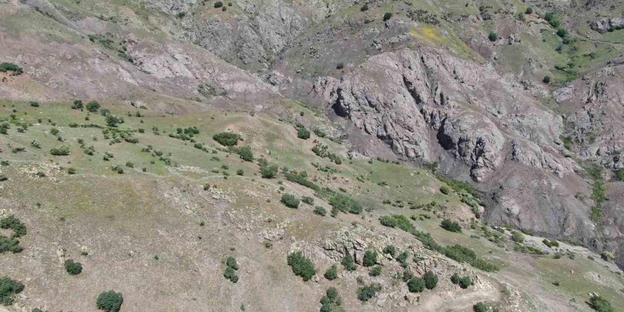 Elazığ’daki Kan Donduran Cinayetin Dehşet Veren Detayları Ortaya Çıktı