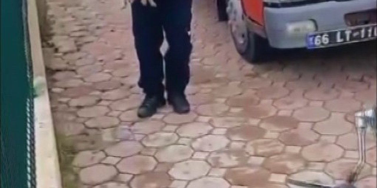 Dereye Düşen Yavru Köpek İçin İtfaiye Seferber Oldu