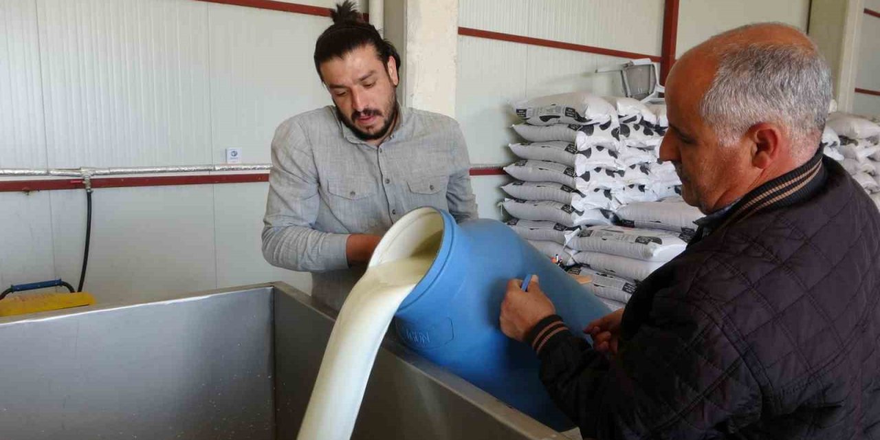 Süt Toplama Merkezleri Yaygınlaşıyor