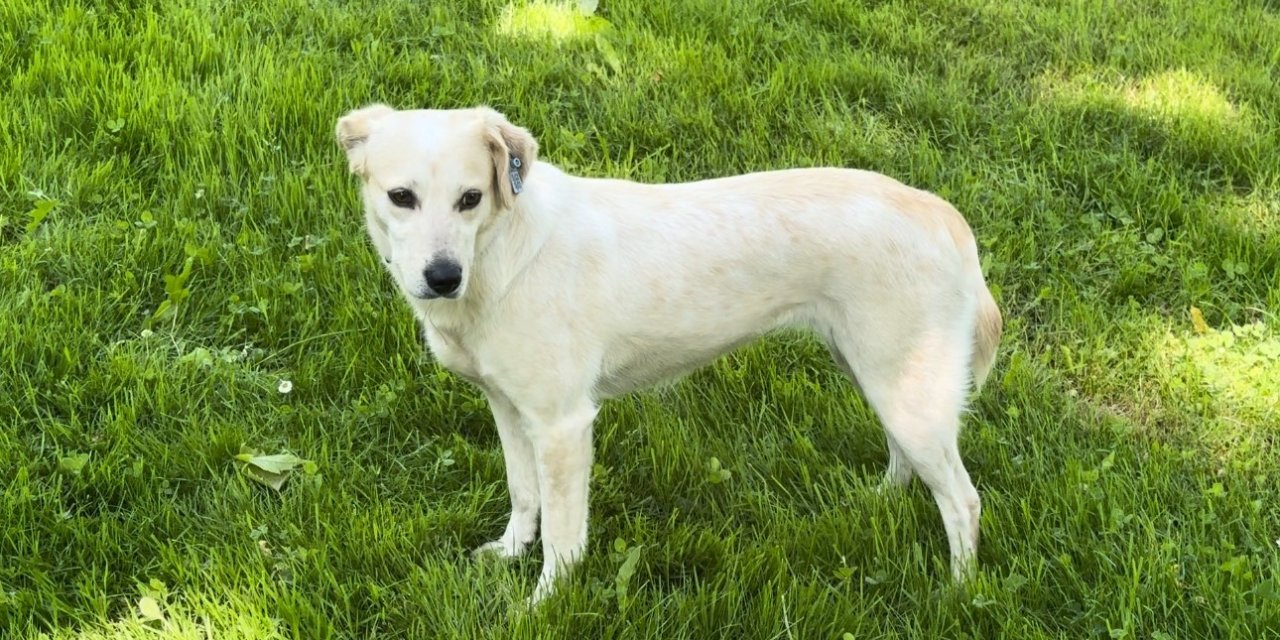 Bursa’da Sanat Ve Medya Camiasının Acı Kaybı