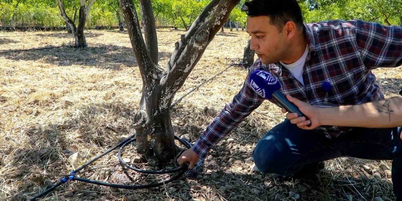 Bodrum’da Tarımsal Üretimde Su Tasarrufu