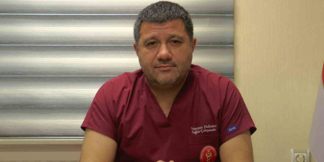 Yılanlardan Korunmanın En Etkili Yolu: Temizlik