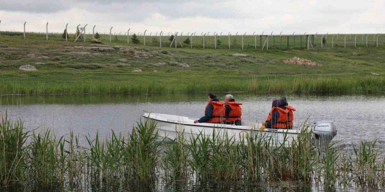 Sakarya Nehrinde Hayalet Av Aracı Temizliği Yapıldı