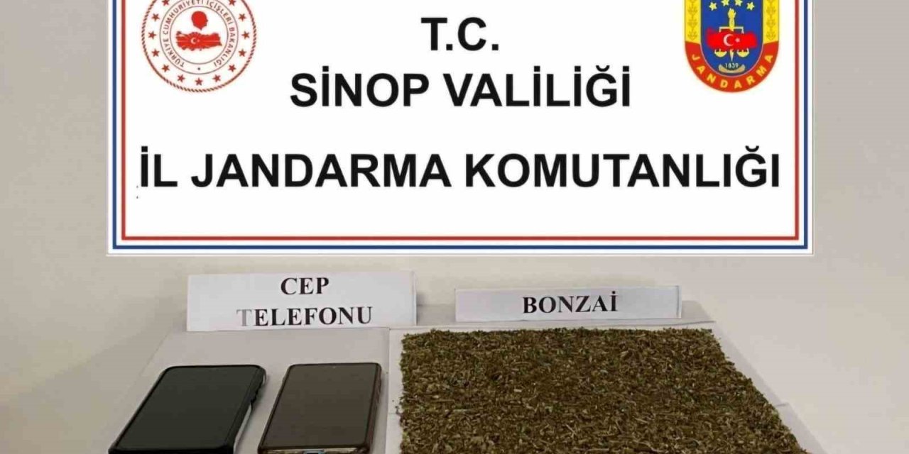 Sinop’ta 80 Gram Bonzai Ele Geçirildi