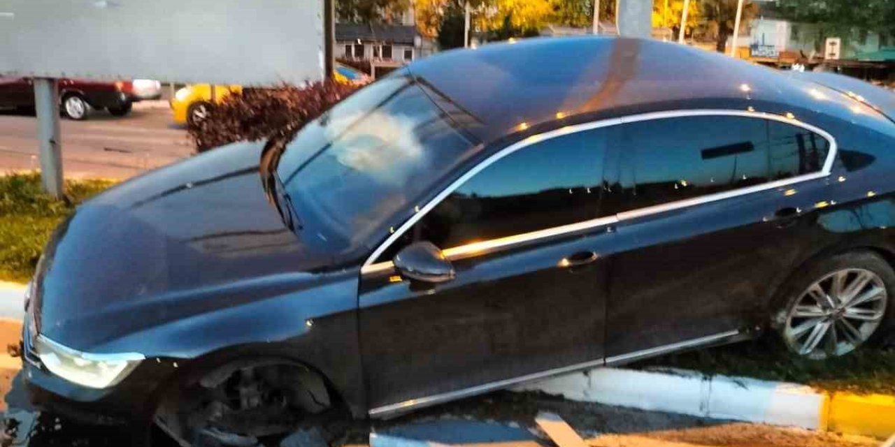 Cadde Ortasında Refüje Çıktı