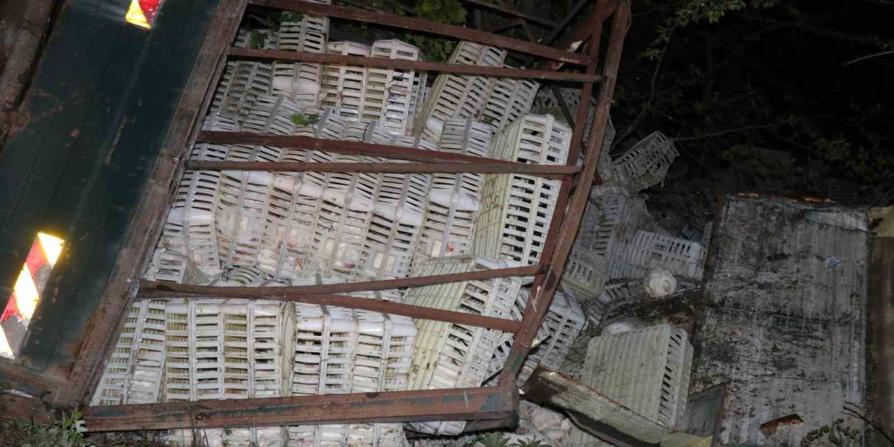 Tavuk Yüklü Kamyon Uçuruma Devrildi, Yüzlerce Tavuk Telef Oldu: 1 Yaralı