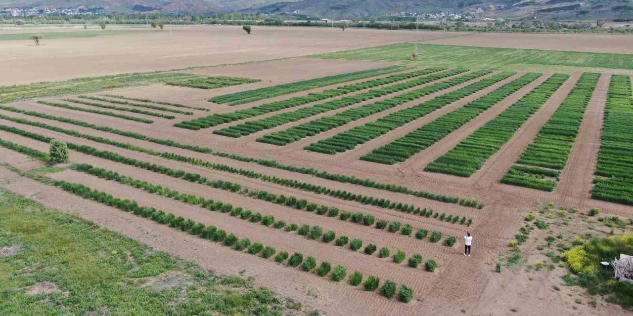 Modern Tarıma Yön Verecek Bilim Tarlasında Atılan Tohumlar Filiz Verdi