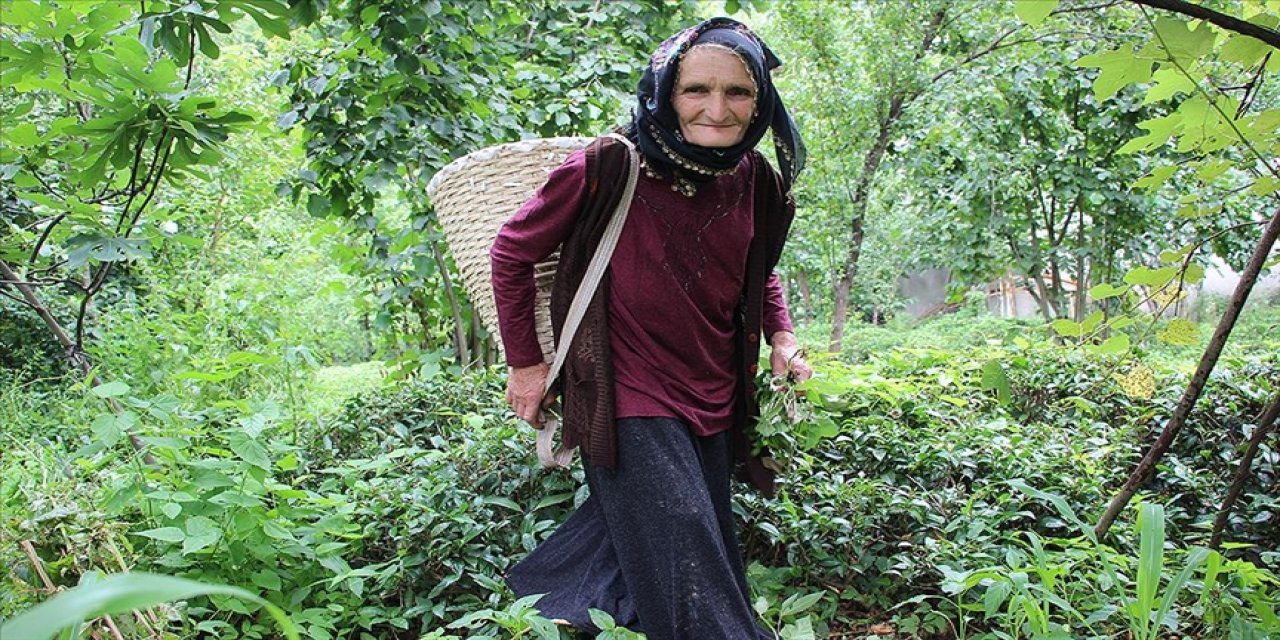 78 yaşındaki Emine Aydın'ın ördüğü sepetler Artvin Marka Ürünler Mağazası'nda alıcı buluyor