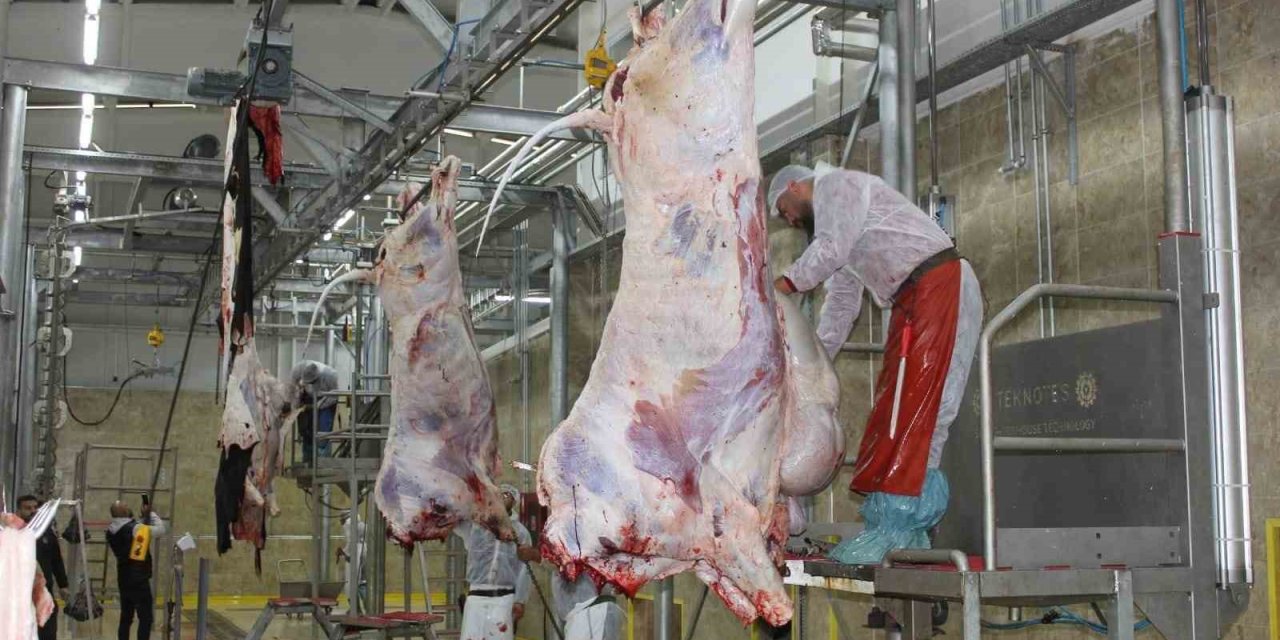 Erzincan’da Resmi Veteriner Hekimlik Eğitimi Veriliyor