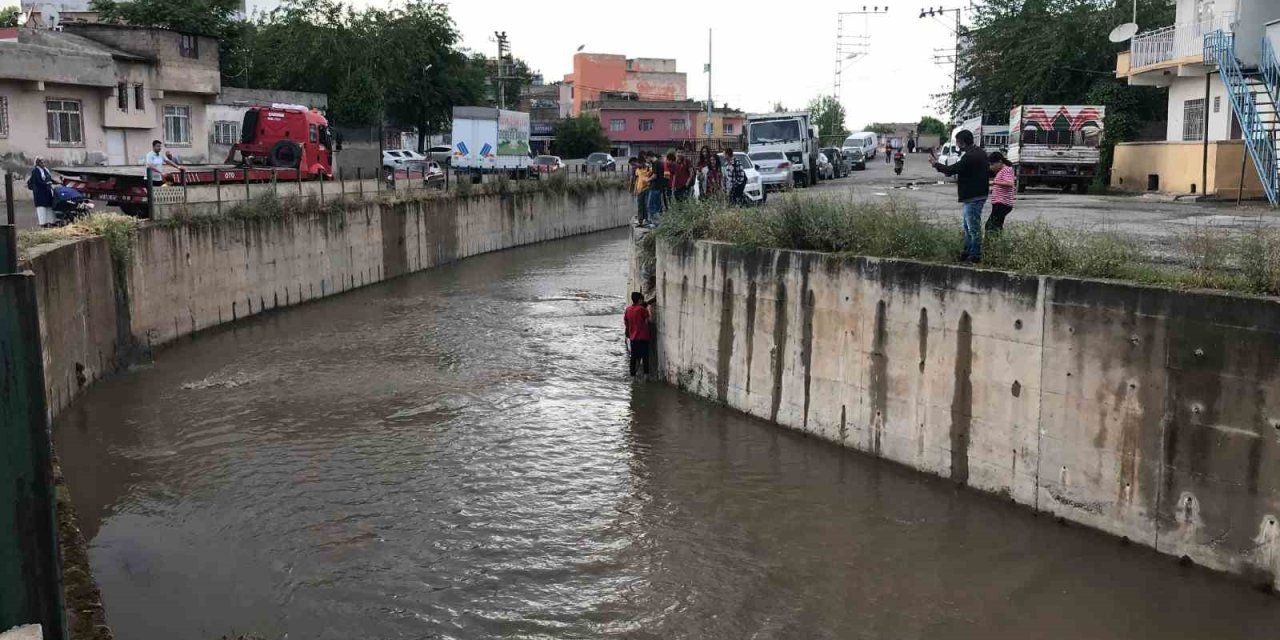 Dereye Düşen Kediyi Kurtaran Öğrenci Kendisi Mahsur Kaldı