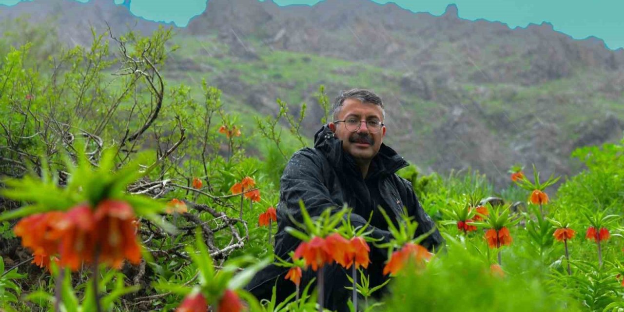 Vali Çelik Ters Laleleri İnceledi