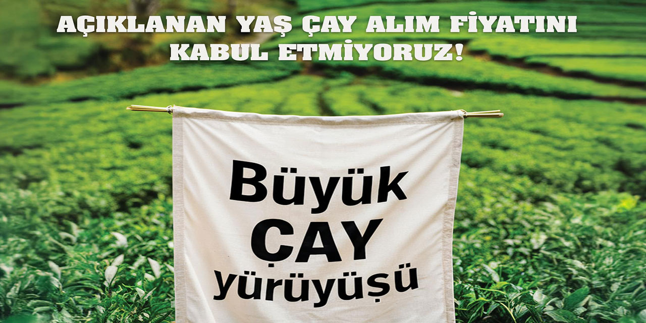 Yaş Çay Fiyatına Tepki Olarak Rize’de Büyük Çay Yürüyüşü Düzenlenecek