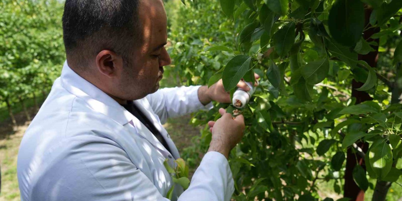 300 Milyon Yıldır Bu Anı Bekliyorlar