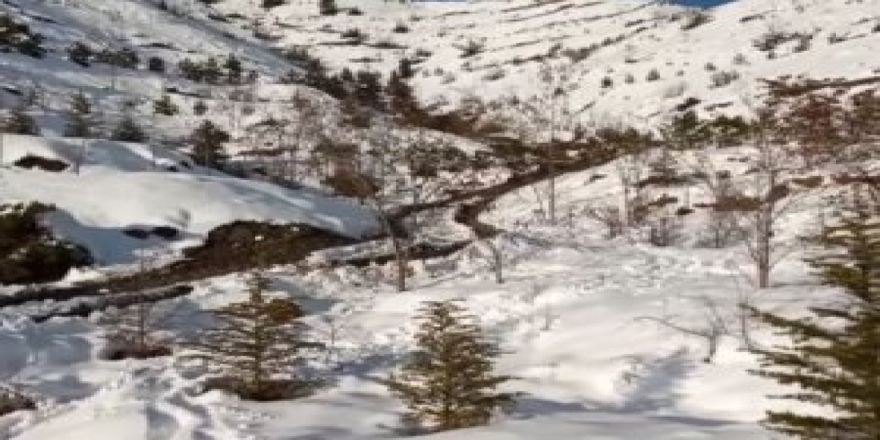 Artvin’de eşini boğarak öldürüp boş araziye gömdü duruşması bir kez daha ertelendi