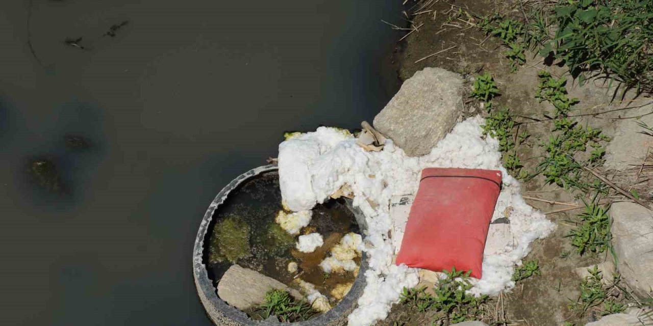 Büyük Menderes’e Çöp Tehdidi