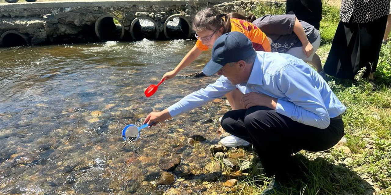 Ordu'da derelere 50 bin yavru alabalık bırakıldı
