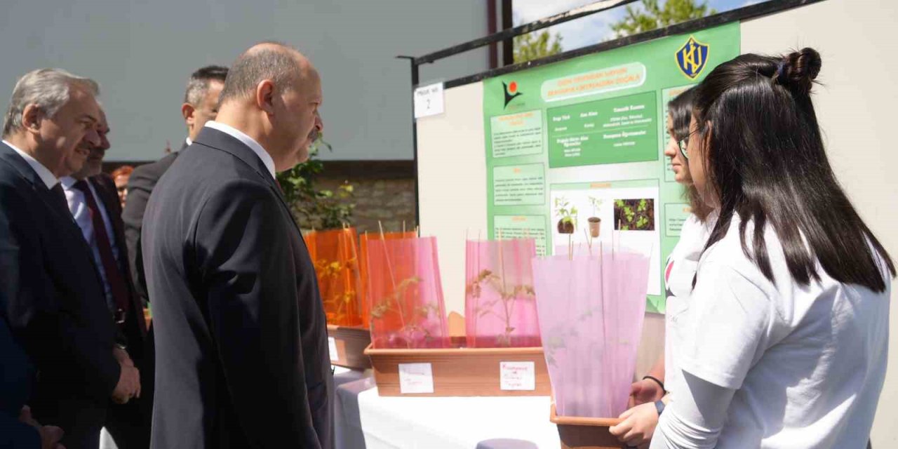 Lise Öğrencilerin Deneyi Ortaya Koydu: Naylon Rengi Serada Verimi Arttırıyor