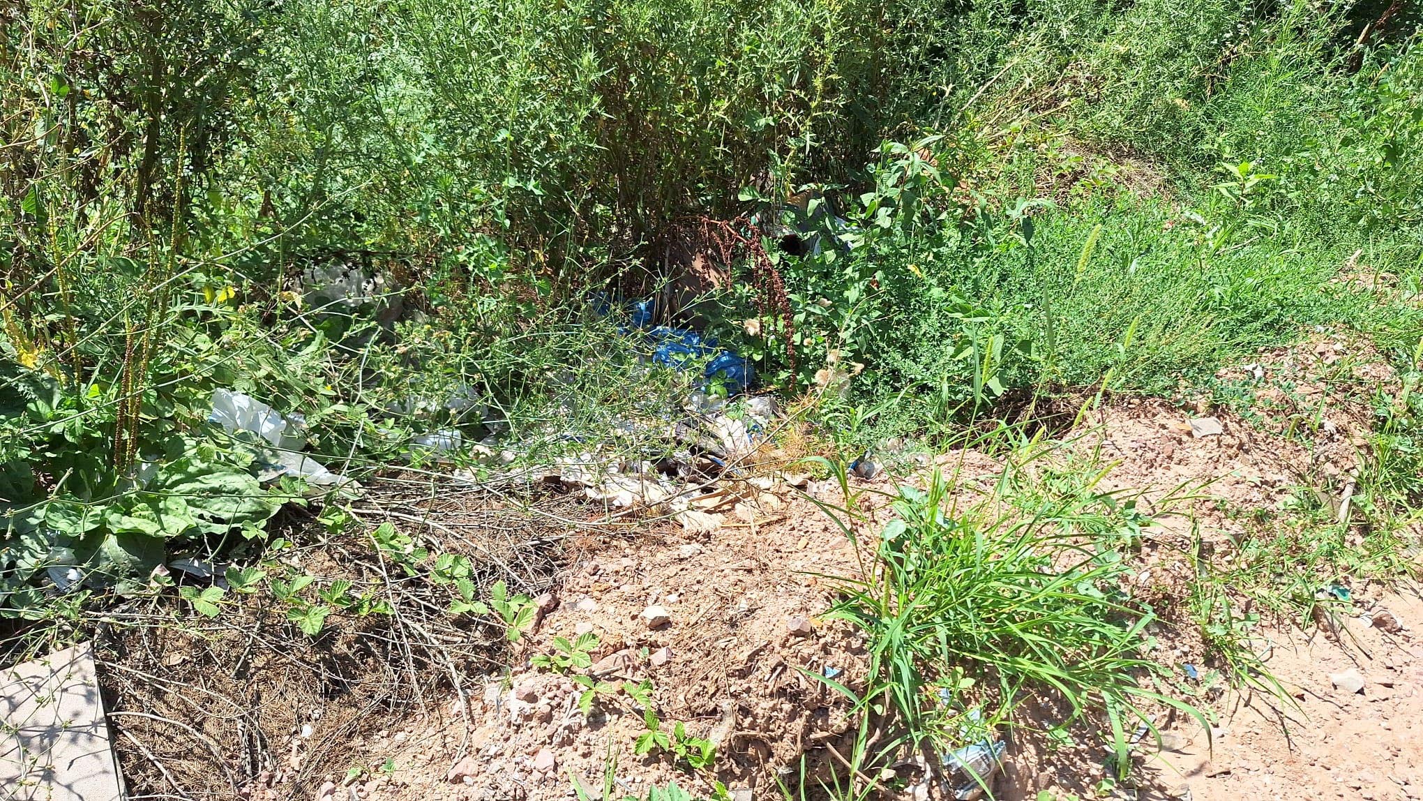 'orman Yangınlarına İnisiyatifinizle Müdahale Etmeyin'