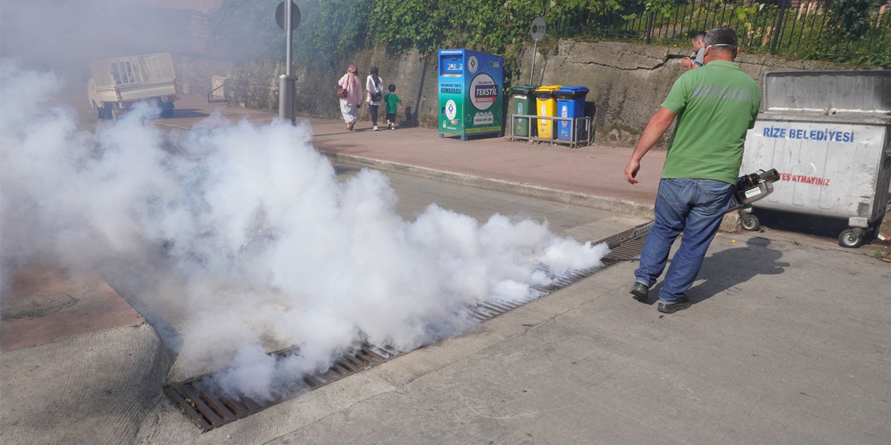 Rize'de bu akşam sivrisinekle mücadele yapılacak mahalleler!