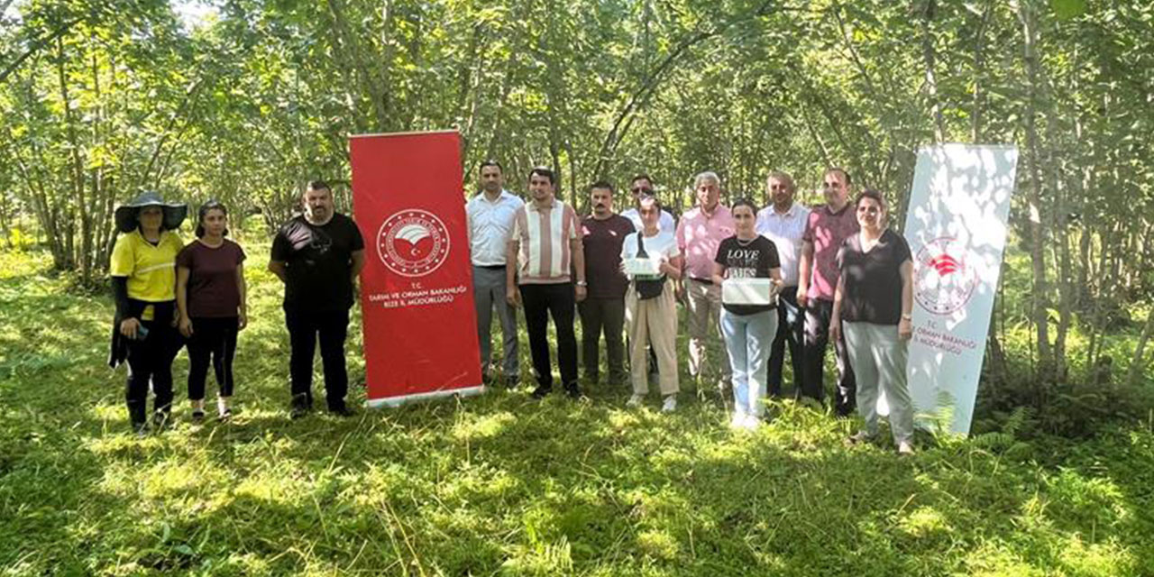 Rize’de kahverengi kokarcaya karşı biyolojik mücadele