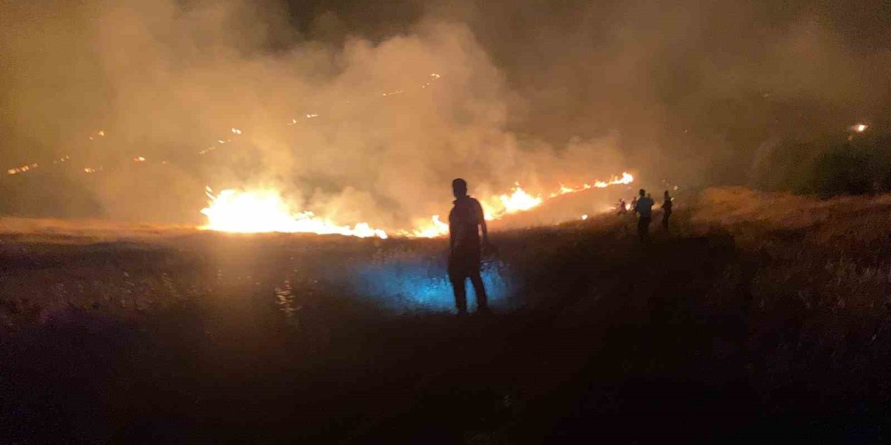 Ormanlık Alandaki Yangın Söndürüldü