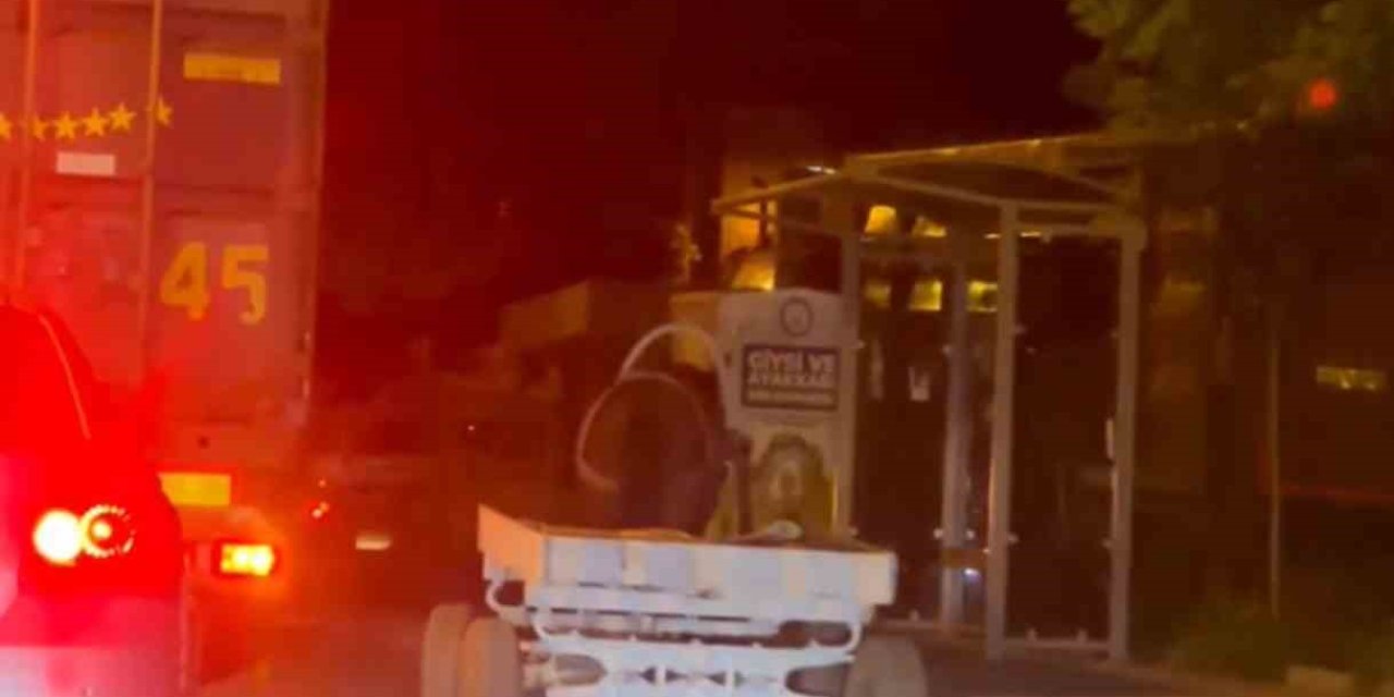 Başıboş At Arabası Şehir Turu Attı, Görenler Şaştı Kaldı