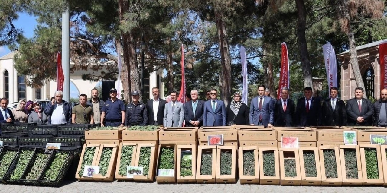 61 Bin 780 Adet Yerli Ve Milli Sebze Fidesi Dağıtıldı