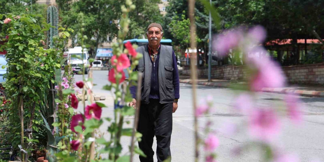 60 Yıldır Bitki Yetiştirip Satıyor