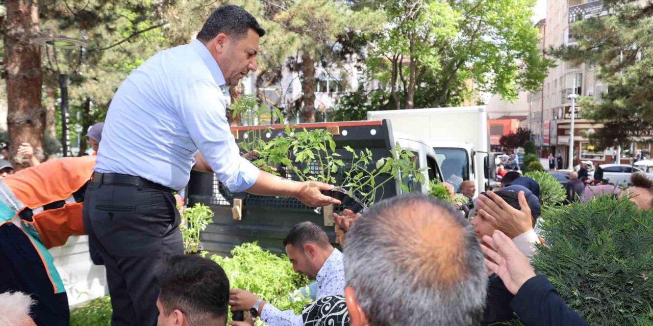 Nevşehir’de 50 Bin Fide Dağıtıldı