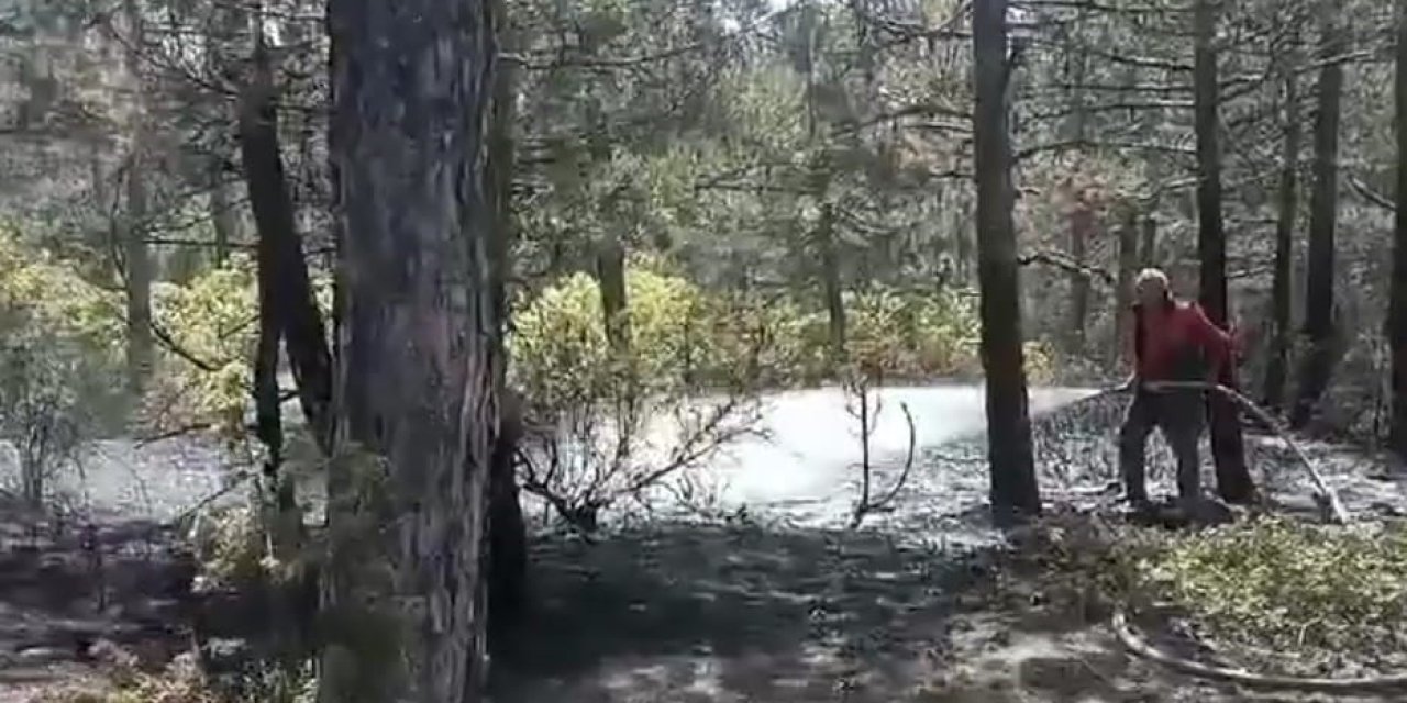 Kütahya’da Orman Yangını Büyümeden Söndürüldü