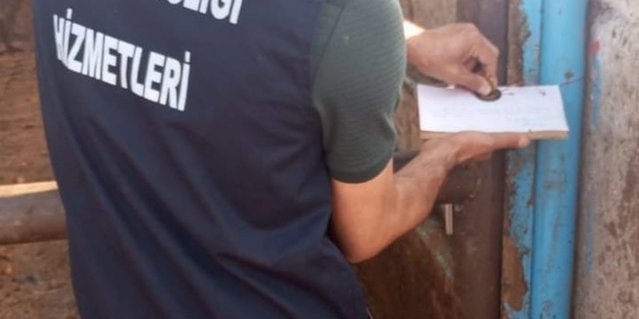 Bakan Yumaklı: "Amasya’daki Hayvana Eziyet Görüntüleri Kesinlikle Kabul Edilebilir Değildir"